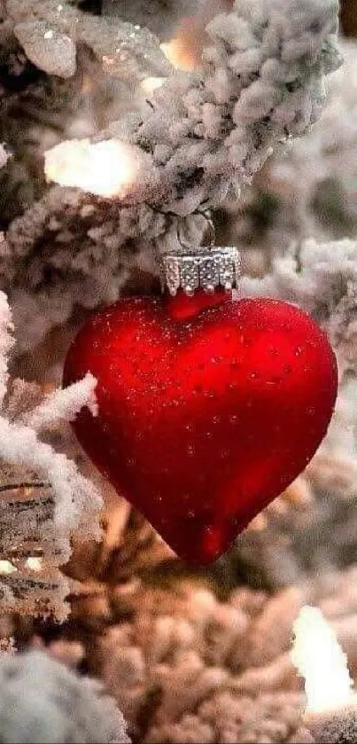 Red heart ornament on snowy Christmas tree.