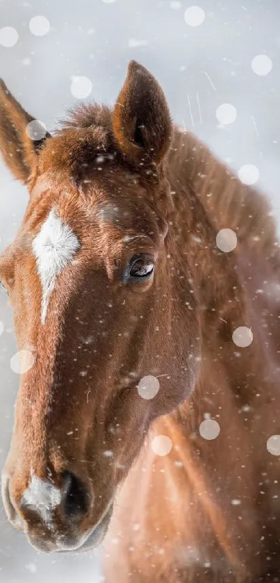 Majestic brown horse in snowy landscape.