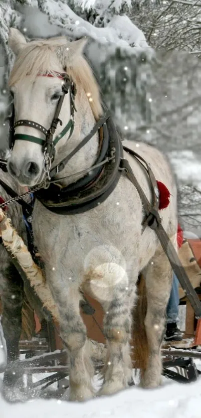 Majestic white horse pulling a sleigh in a snowy forest scene.