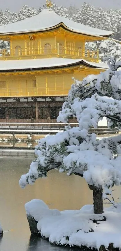 Snow-covered temple with golden hue in tranquil winter setting.