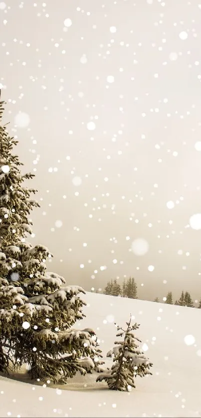 Serene snowy landscape with a lone tree.