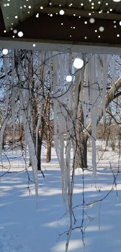 Icicles hanging over a snowy winter landscape with bare trees.