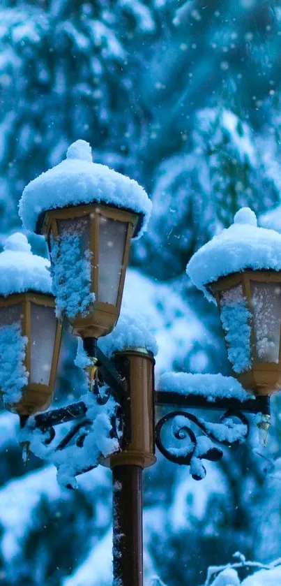 Snow-covered lanterns with a serene winter backdrop, evoking tranquil beauty.