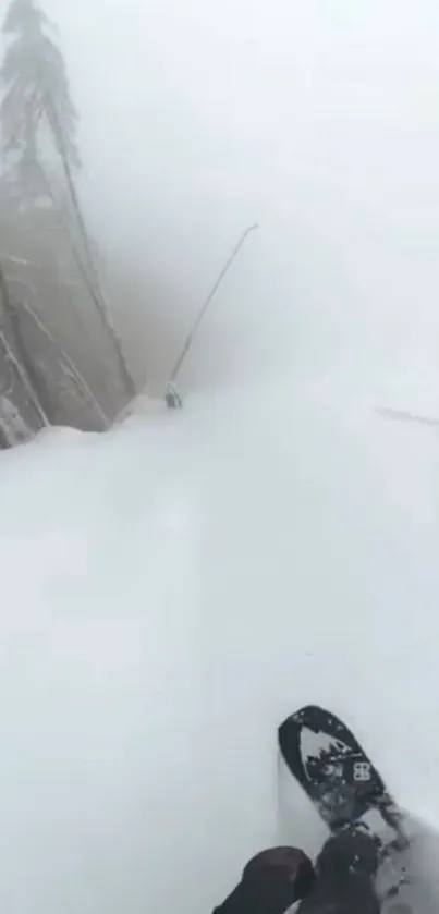 Snowy mountain descent with snowboarder in misty winter landscape.