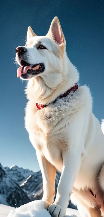 Majestic white dog on snow with a mountain backdrop under blue sky.