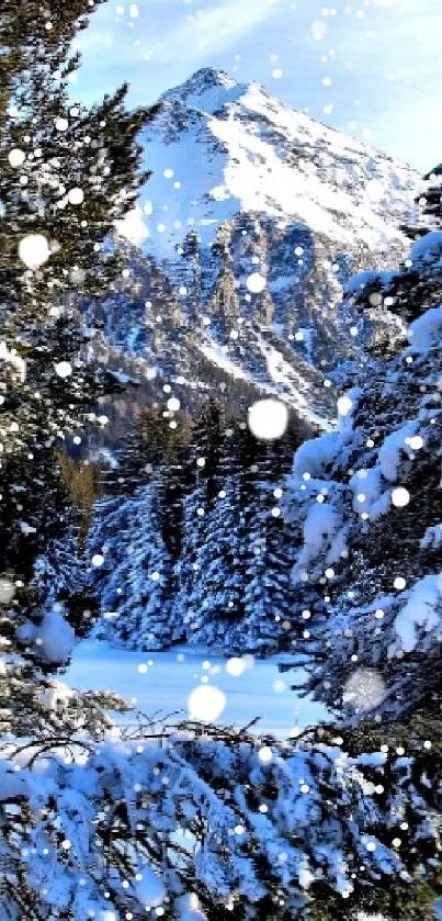 Snowy forest with mountain peak in winter scene.