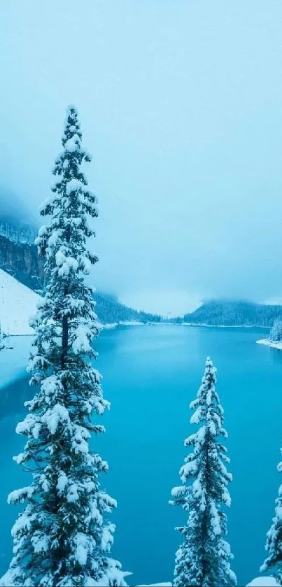 Snowy trees and serene mountain lake under a cool, cyan winter sky.