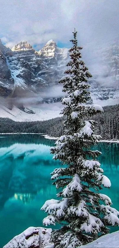 Snowy mountain landscape with turquoise lake and pine tree.