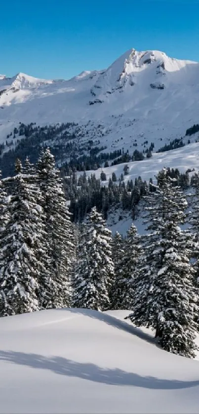 Snow covered mountain landscape with trees.