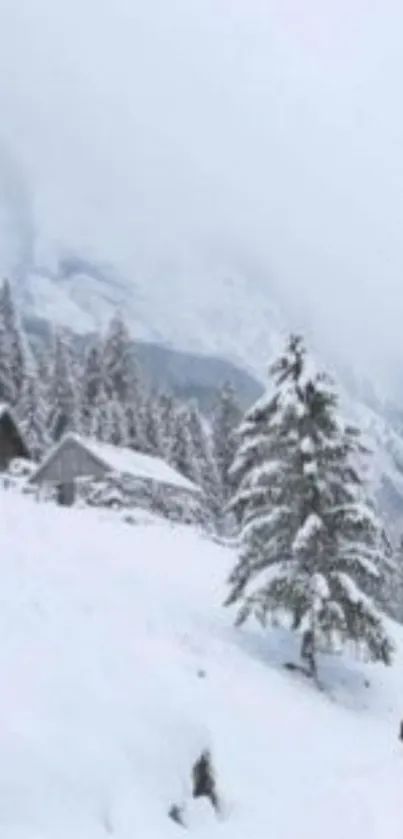 Snowy mountain landscape with trees and cabins.