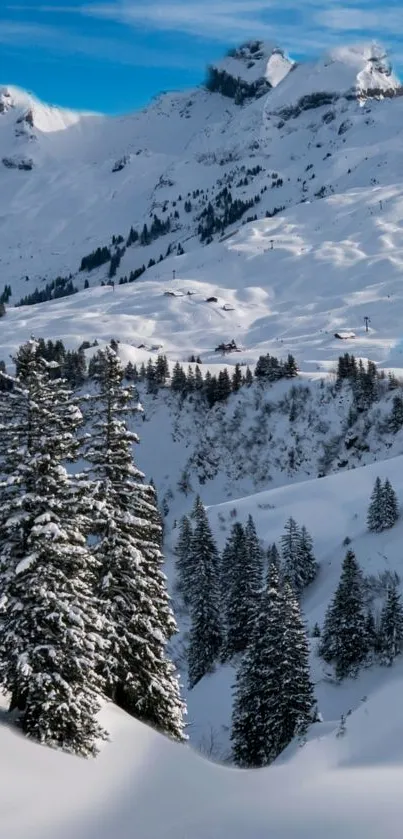 Serene snowy mountain landscape with frosted trees.
