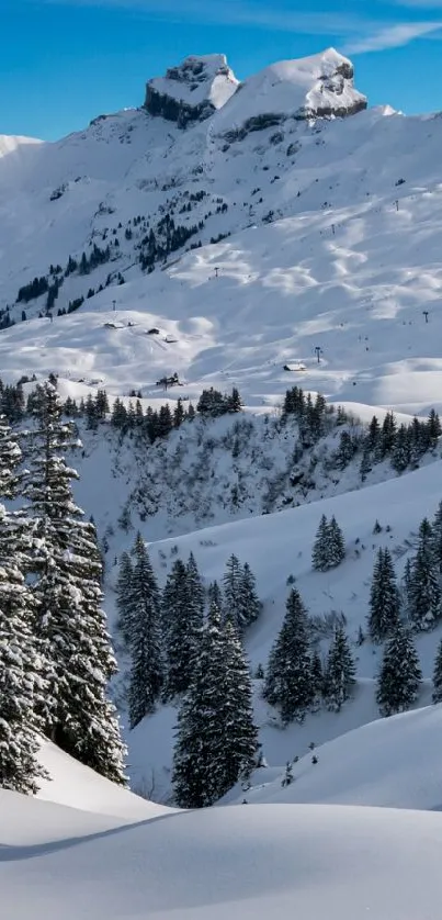 Snowy mountain landscape with pine trees and a blue sky.