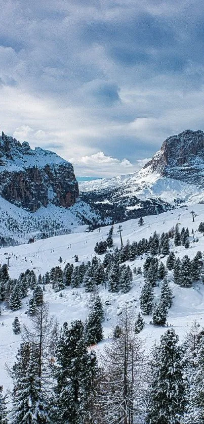 Snowy mountain landscape with trees and dramatic sky.