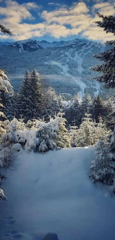 Snowy mountain landscape with evergreen trees and blue sky