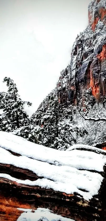 Snowy mountain with cliffs and evergreen trees, perfect for a phone wallpaper.