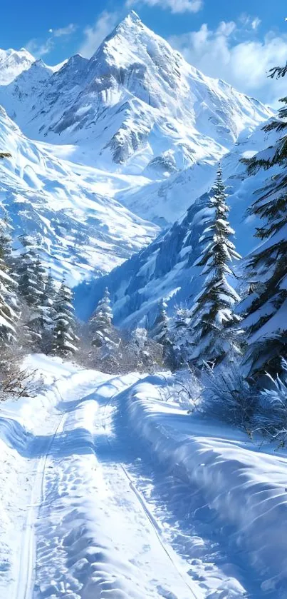 Snowy path amid tall pines and mountains, under a clear sky.