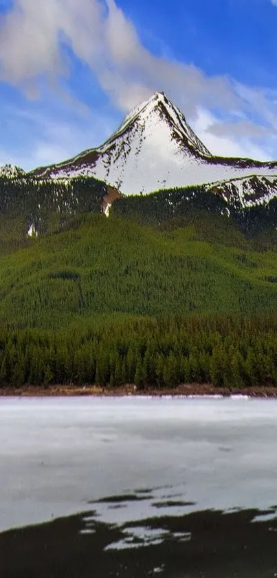 A serene snowy mountain peak under a blue sky with a lush green forest.