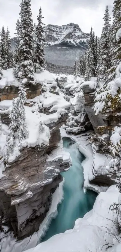 Breathtaking snowy mountain river scene with frosty forest and blue water.