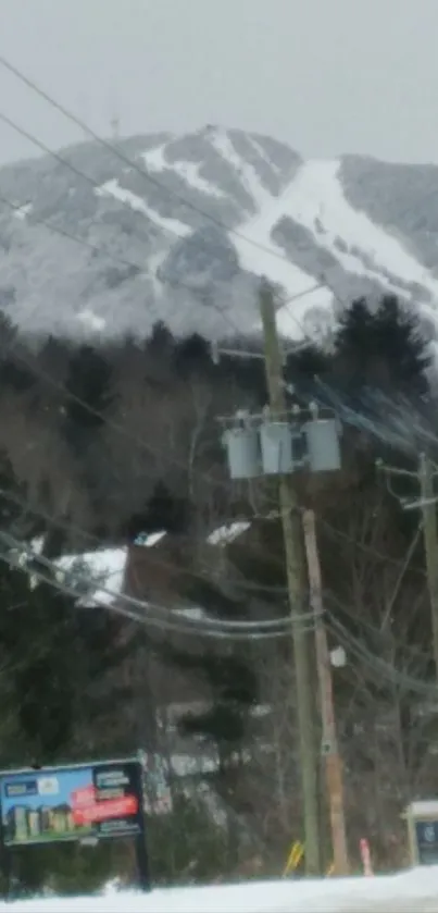 Snowy mountain with power lines and pine trees on a winter road.