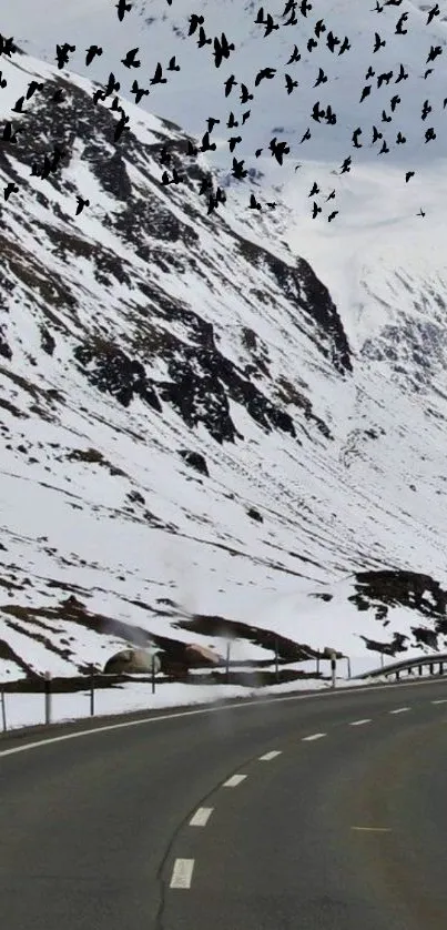 Snow-covered road with birds and mountains in view.