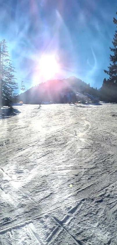 Snowy mountain with sunrise, pine trees, and ski tracks.