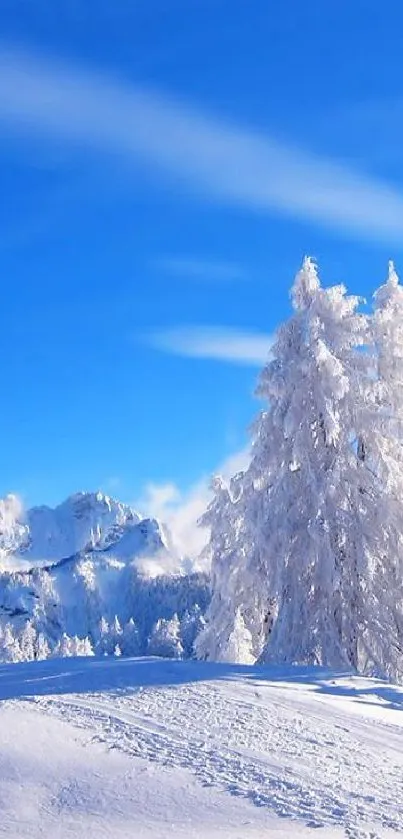 Snow-covered trees with blue sky and mountains mobile wallpaper.