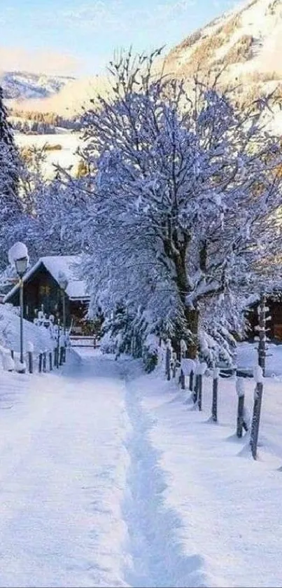 Snowy mountain path under a clear blue sky.