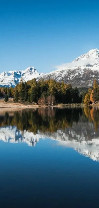 Snow-capped mountains reflecting in a calm lake with clear blue skies.