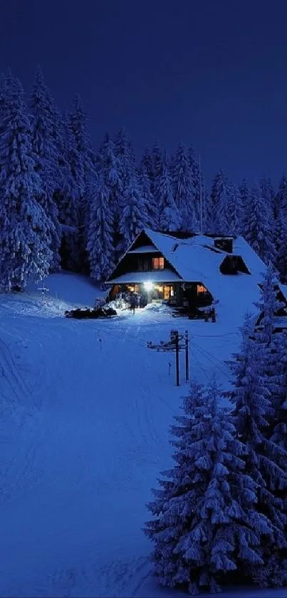 Snowy forest cabin under a starry night sky.