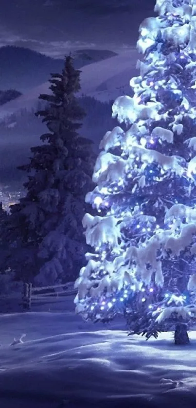 Snow-covered Christmas tree glowing in a serene winter landscape at night.