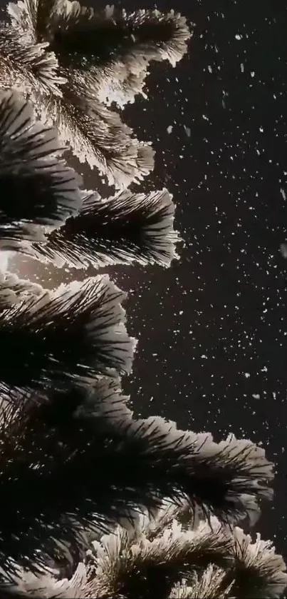 Snowy night with silhouetted palm trees and starry sky.