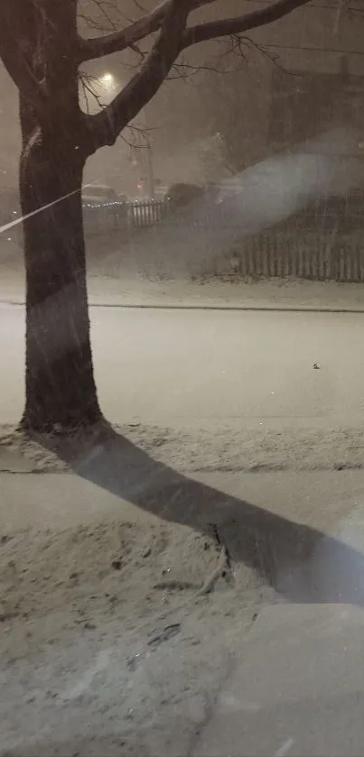 Snowy night scene with tree shadow under streetlight.