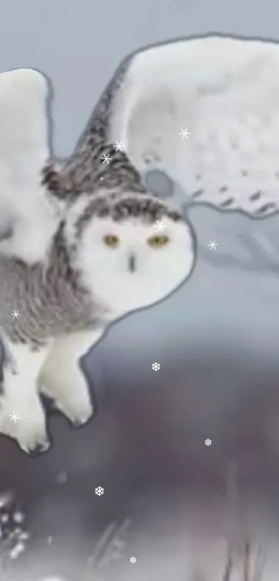 Majestic snowy owl in flight with a serene winter backdrop.