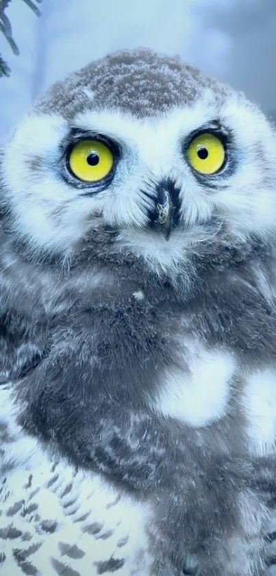 Snowy owl with vivid yellow eyes in a serene forest setting.