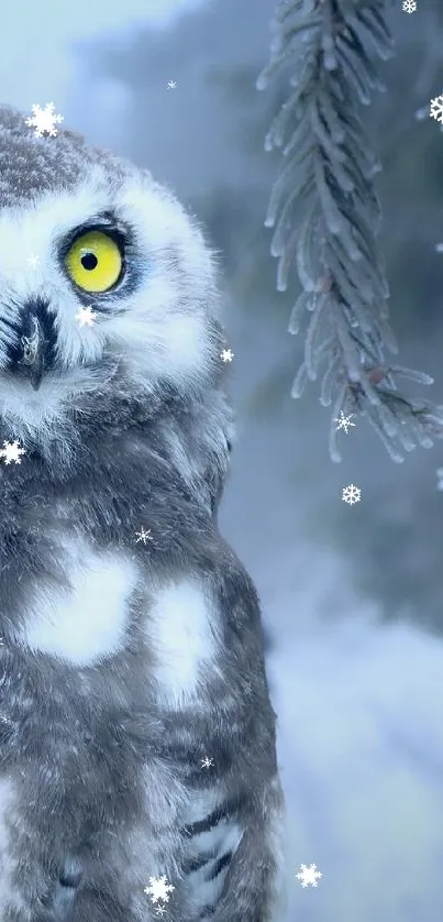 Snowy owl on frosty branch in winter.