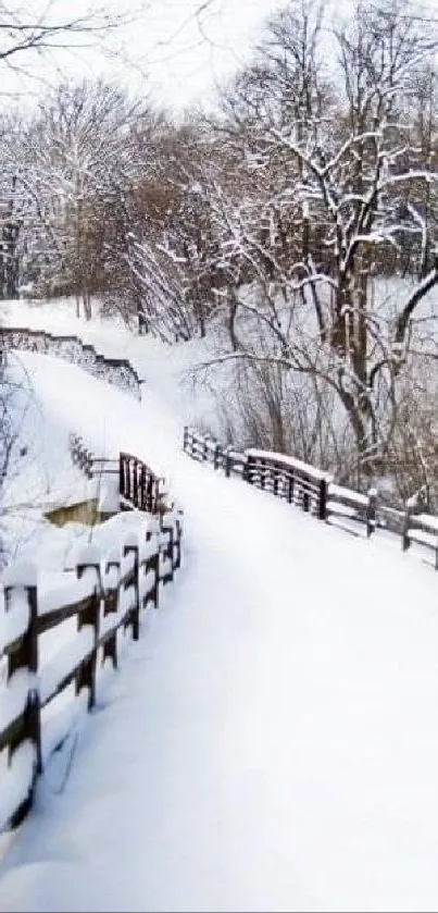 Snow-covered path in a winter landscape.