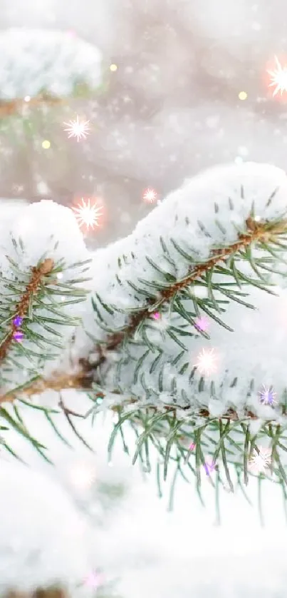 Snow-covered pine branches with gentle snowflakes falling.