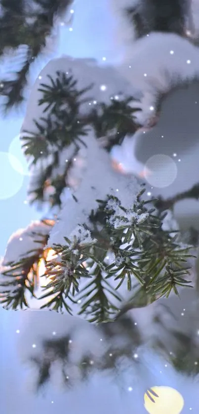 Snowy pine branch with bokeh lights and snowflakes.