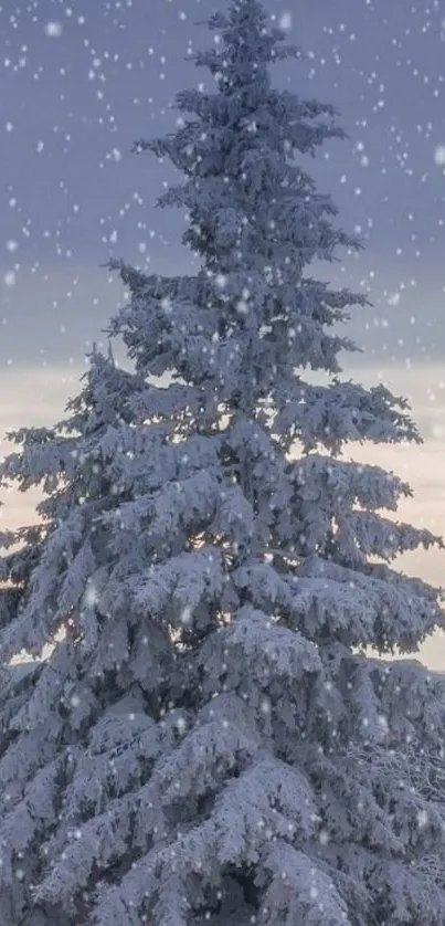 Snowy pine tree with falling snowflakes, serene winter scene.