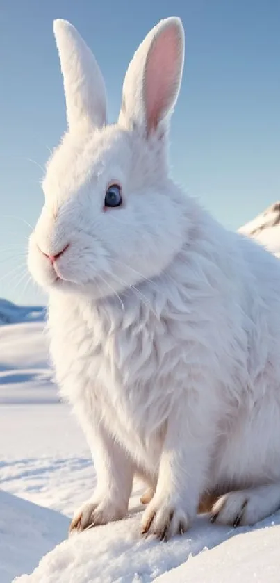 White rabbit in snowy mountain landscape wallpaper.