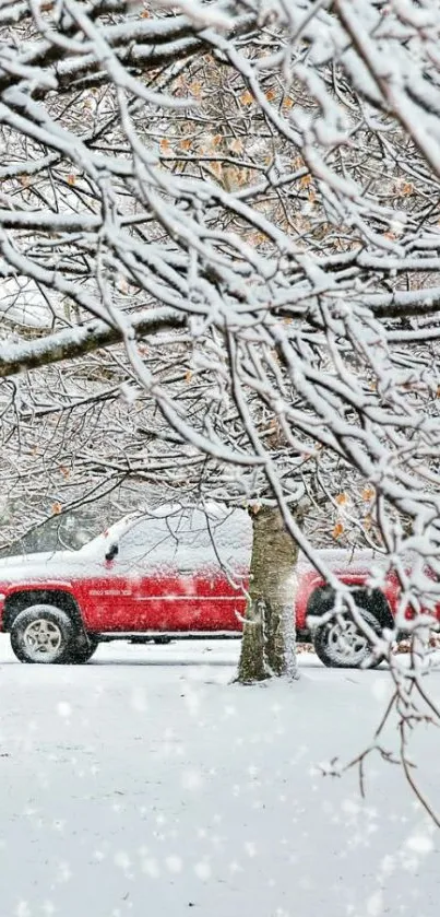 Snowy landscape with a red car under tree branches.