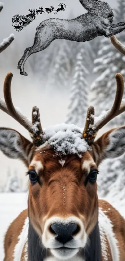 Reindeer with antlers in snowy forest.