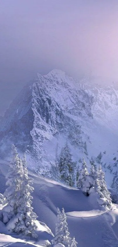 Serene snowy mountain with lavender sky.