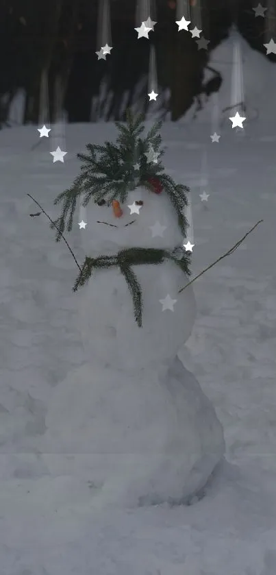 Charming snowman under starry winter night sky.