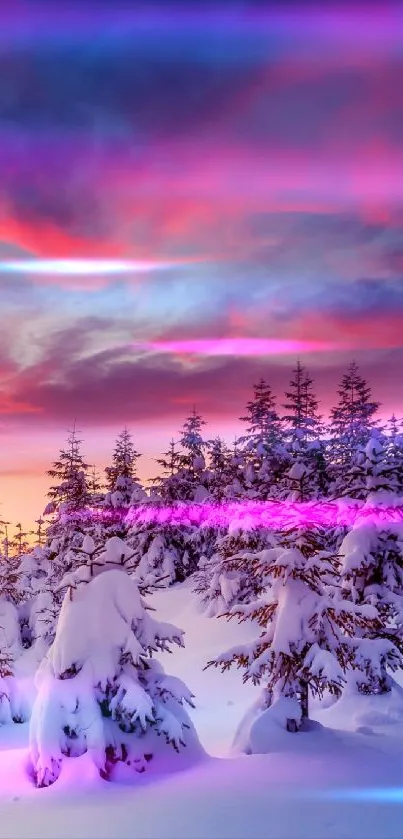 Snowy pine trees at sunset with a vibrant purple sky.