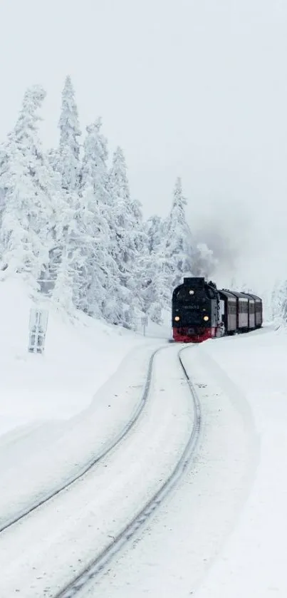 Steam train journeying through a snowy forest landscape.