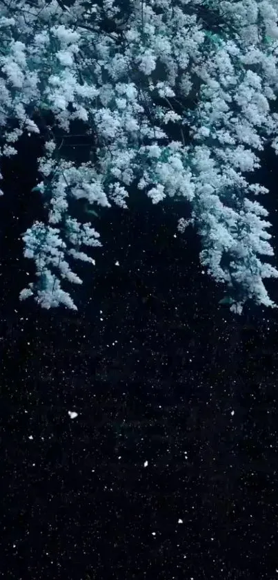 Snow-covered tree and starry night sky wallpaper.