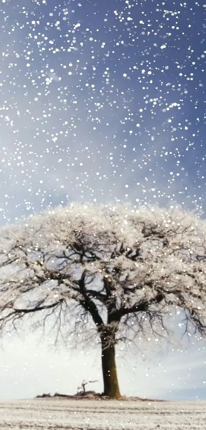 A solitary tree in snow against a blue sky, creating a serene winter landscape.