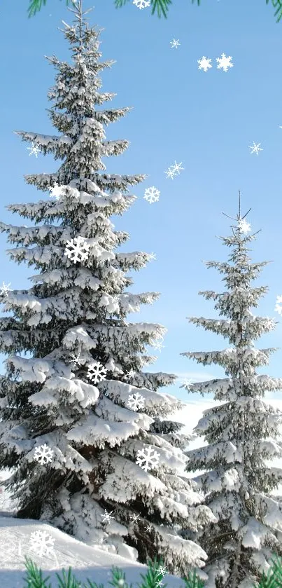 Snow-covered trees under a blue sky with snowflakes.