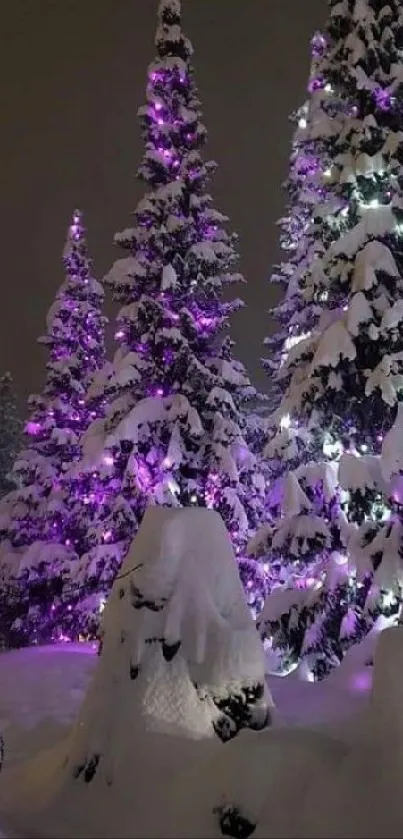 Snowy trees with purple lights in winter night.